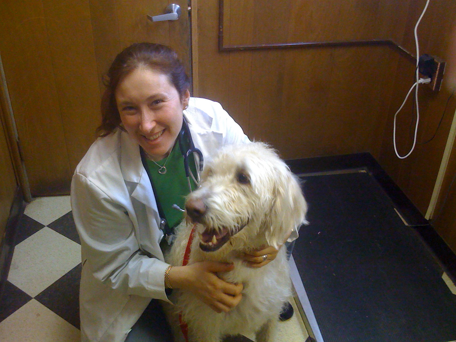 Ivens Bronstein Veterinary Hospital - Ardmore, PA - Our Doctors